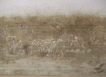 "Stampede"