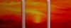 "Trio Sunset"