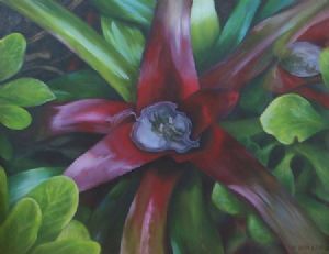 "Bromeliad"