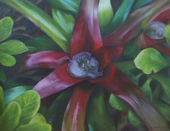 "Bromeliad"