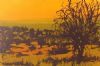 "Tree in River Bed"