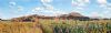 "Koppie at Tonteldoos"