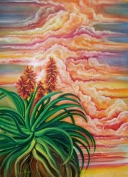 "Sunset Aloe"