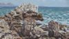"Gansbaai in the distance"