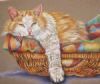"Carlos the cat"