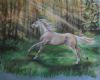 "Almost a unicorn"