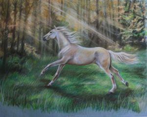 "Almost a unicorn"