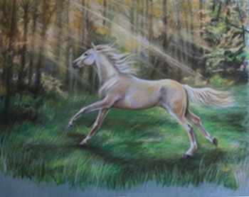 "Almost a unicorn"