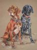 "The Hounds"