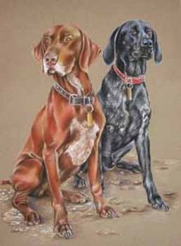 "The Hounds"