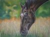 "Grazing"
