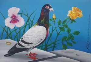 "Tretchicoff Pigeon's Luck 1978-2009"