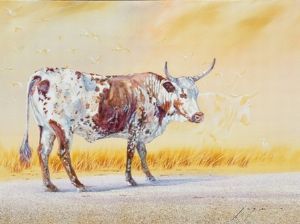 "Nguni 2"