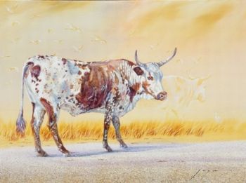 "Nguni 2"