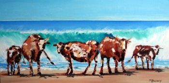 "Wildcoast Nguni"