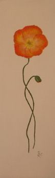 "Single Poppy 2"