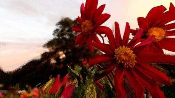 "Red Daisy"