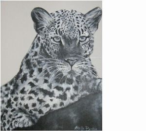 "Leopard"