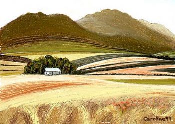 "Wheatfields 3. Caledon area"