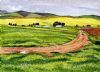 "Western Cape Farmfields 4. Canola"