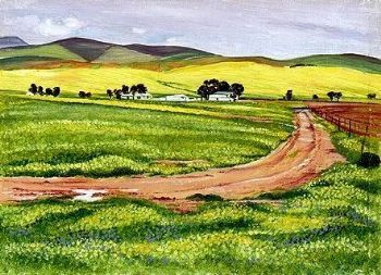 "Western Cape Farmfields 4. Canola"