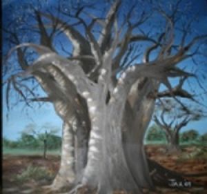 "Baobab"