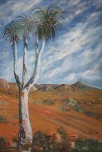 "Richtersveld"