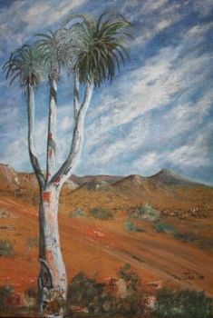 "Richtersveld"