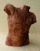 "Male Torso"