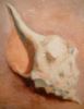 "Shell 1"