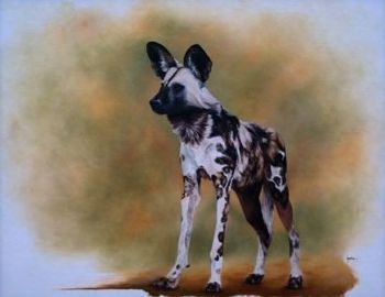 "Wild Dog"