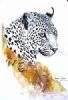 "Leopard Portrait (female)"