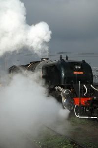 "Early Morning Steam"
