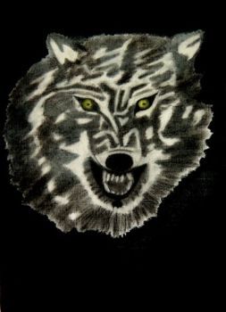 "Canus Lupus"