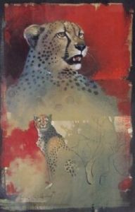 "Cheetah Scetch In Red"