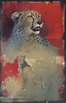 "Cheetah Scetch In Red"