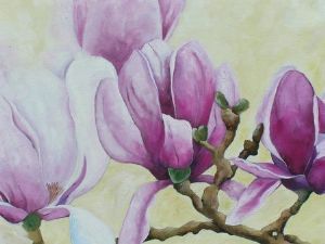 "Magnolia"