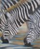 "Zebra"