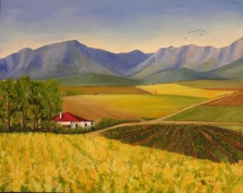 "Canola fields"