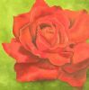 "Rose"