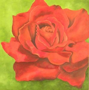 "Rose"