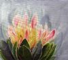 "Pink Protea"