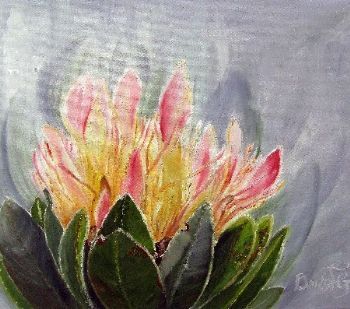 "Pink Protea"