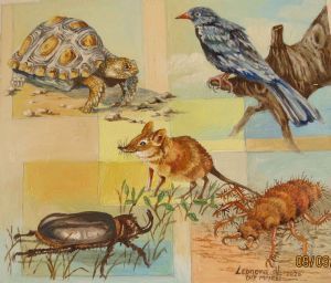 "Miniature- Colourful Little Five of Africa"