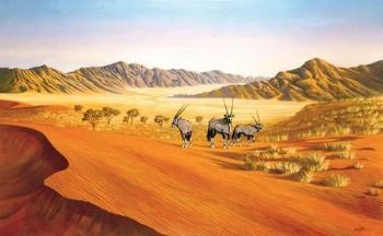 "Kalahari Nomads"