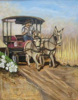 "Donkey Drive 1"