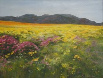 "Namaqua flowers"