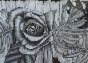 "Rose"