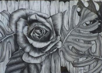 "Rose"