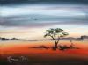 "African Thorntree"